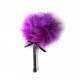 CHATOUILLEUR DE PLUMES VIOLET SECRET PLAY