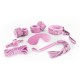 CRUSHIOUS DUNGEONS & MAIDENS BDSM KIT PINK