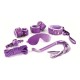 CRUSHIOUS DUNGEONS & MAIDENS BDSM KIT PURPLE